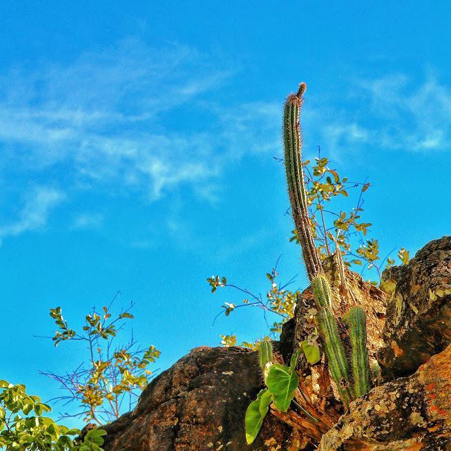 Pousada Chapada Das Mesas Riachao  ภายนอก รูปภาพ